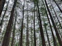 -洛阳白云山景区