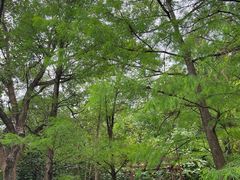 -深圳国际园林花卉博览园