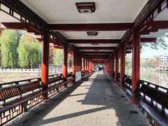 -温江公园