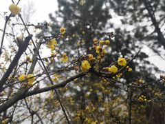 -白塘生态植物园