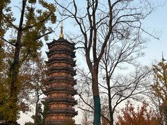 -葛仙湖公园