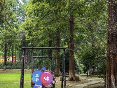 -宝岩生态观光园