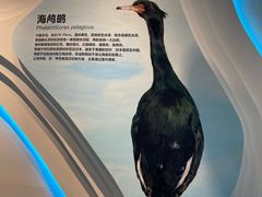 -大连市规划展示中心