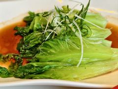 白灼罗马生菜-闽海肴(北辰荟店)