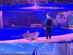 -华夏文旅海洋公园