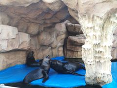 -华夏文旅海洋公园