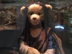 -济州岛泰迪熊博物馆