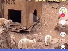 -昆明动物园