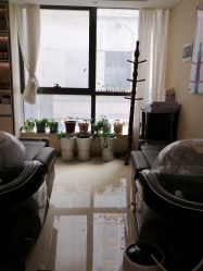 点击看大图 -碧莲盛·不剃发植发