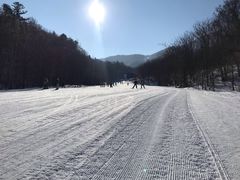 -亚布力新体委滑雪场