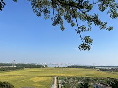 -广州莲花山旅游区