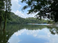 -西樵山风景名胜区-天湖公园