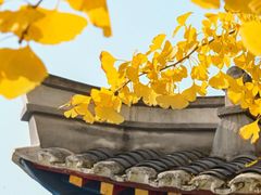 -四川大学(华西校区)