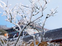 -梵净山旅游区