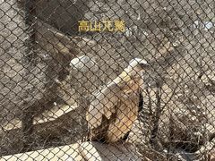 -青藏高原野生动物园