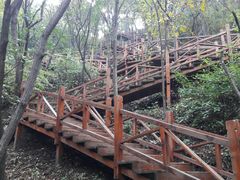 -大岭沟猕猴桃谷风景区