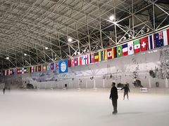-世界之窗阿尔卑斯冰雪世界