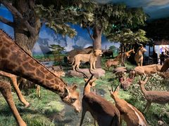 -国家自然博物馆