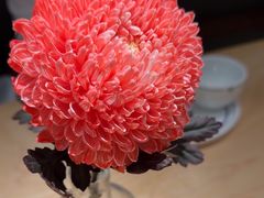 -一坐一忘云南菜(卓悦中心)