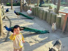 -昆山城市生态森林公园