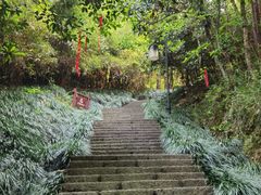 -梦姑塘文化公园