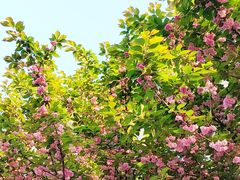 -唐城墙遗址公园