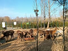 -野鸭湖国家湿地公园