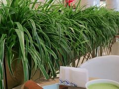 -逸派咖啡 EPARKCOFFEE(广安门店)