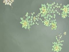 -东钱湖旅游度假区