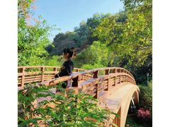-云溪植物园