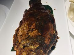 -东方饺子王臻味餐厅(新嘉坡城店)