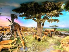 -国家自然博物馆