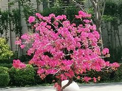 -华北军区烈士陵园