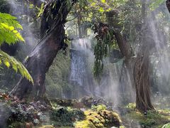 -Chom Cafe and Restaurant