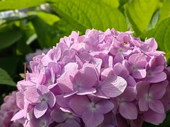 -漩门湾国家湿地公园