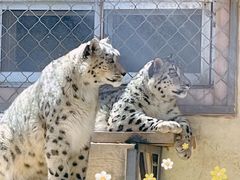 -青藏高原野生动物园