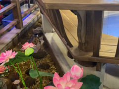 -大融厨·鸡毛店·川菜(果壳里东安湖店)
