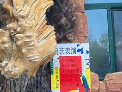-南戴河国际娱乐中心