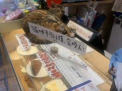 -猫的天空之城概念书店(杭州南宋御街店)