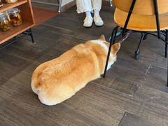 -肥朵食堂(带梦胡同店)