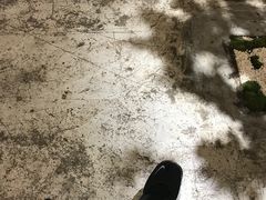 -光作面包Voila Lumiere(中山店)