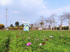 -广东花都香草世界旅游度假区