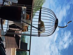 -康莱德酒店·望海阁大堂吧