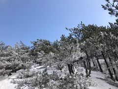 -天柱山风景区