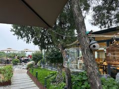 -蘇河湾·新鲁菜·泰山宴(泰山店)