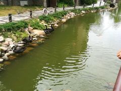 -芭东小镇温泉