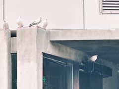 -中粮·祥云小镇
