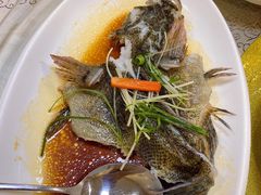 -寻味顺德·南记酒家·传统顺德菜·鱼生(广源路店)