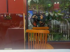 -刘姐啤酒鱼民族演艺餐厅(西街总店)