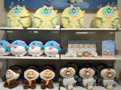 -KAKAO FRIENDS(弘大店)